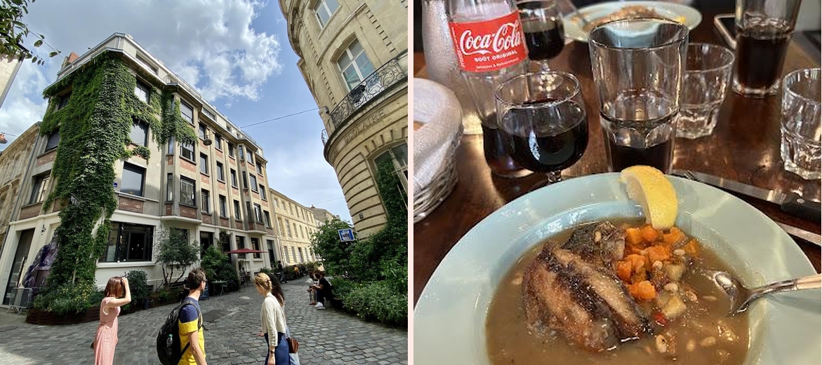 Reseau Paul Bert - Photo 1